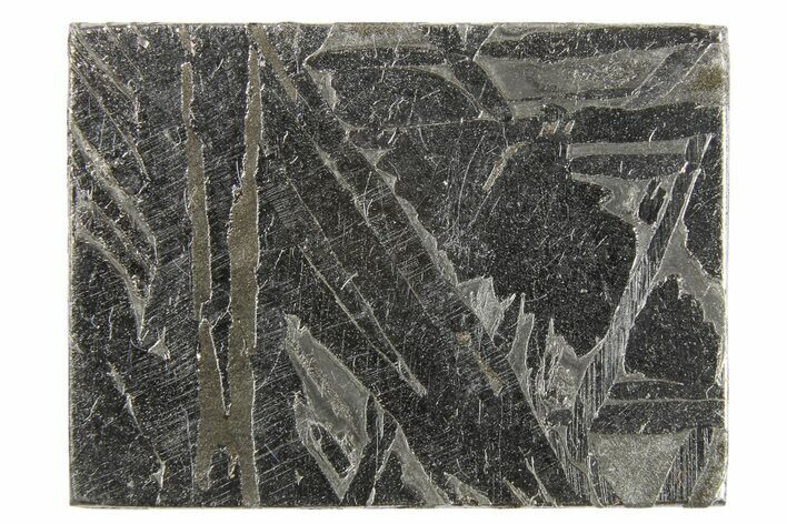 Aletai Iron Meteorite Slice ( g) - Xinjiang, China #263162